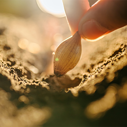 کشاورزی و جنگلداری